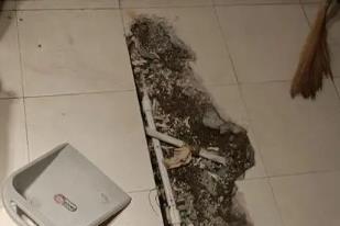 海伦卫生间漏水检测电话